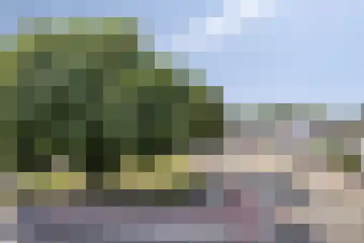 Den Haas 54 Valkenswaard thumbnail 46