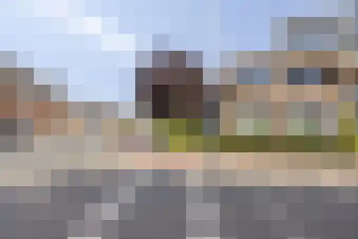 Den Haas 54 Valkenswaard thumbnail 5