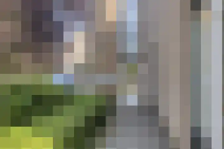 Den Haas 54 Valkenswaard thumbnail 6