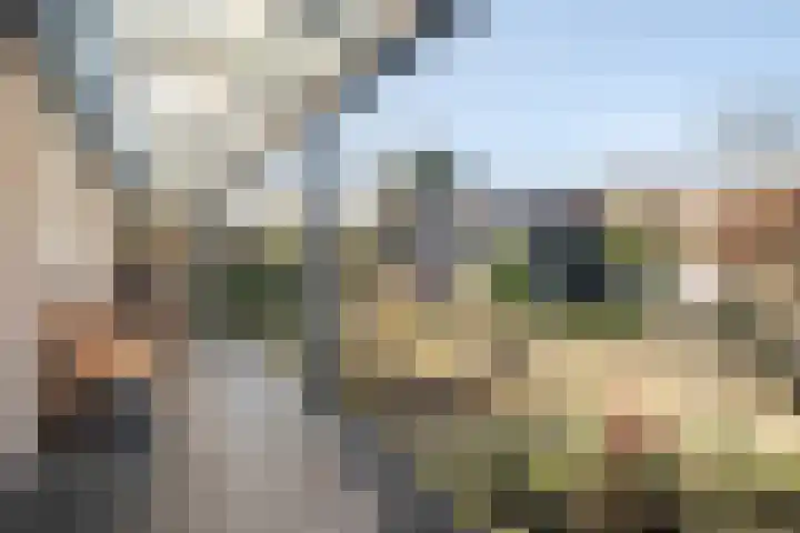 Den Haas 77 Valkenswaard thumbnail 31