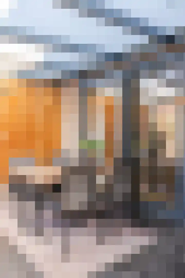Den Haas 77 Valkenswaard thumbnail 32