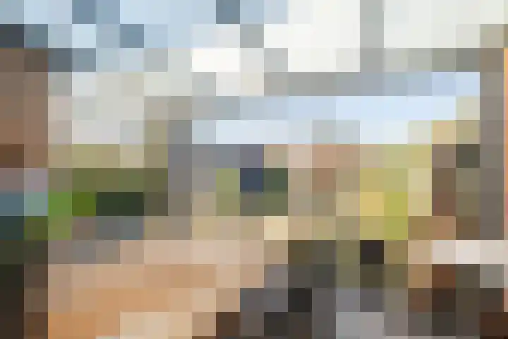 Den Haas 77 Valkenswaard thumbnail 33