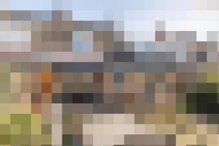 Den Haas 77 Valkenswaard thumbnail 34