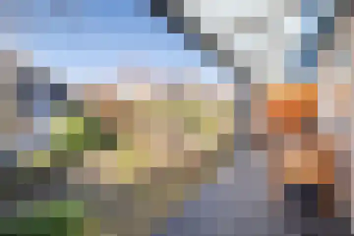 Den Haas 77 Valkenswaard thumbnail 5
