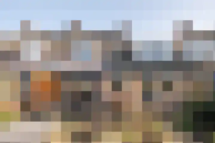 Den Haas 77 Valkenswaard thumbnail 6