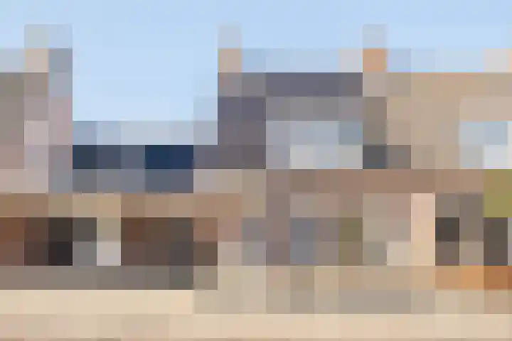 Den Haas 77 Valkenswaard thumbnail 7