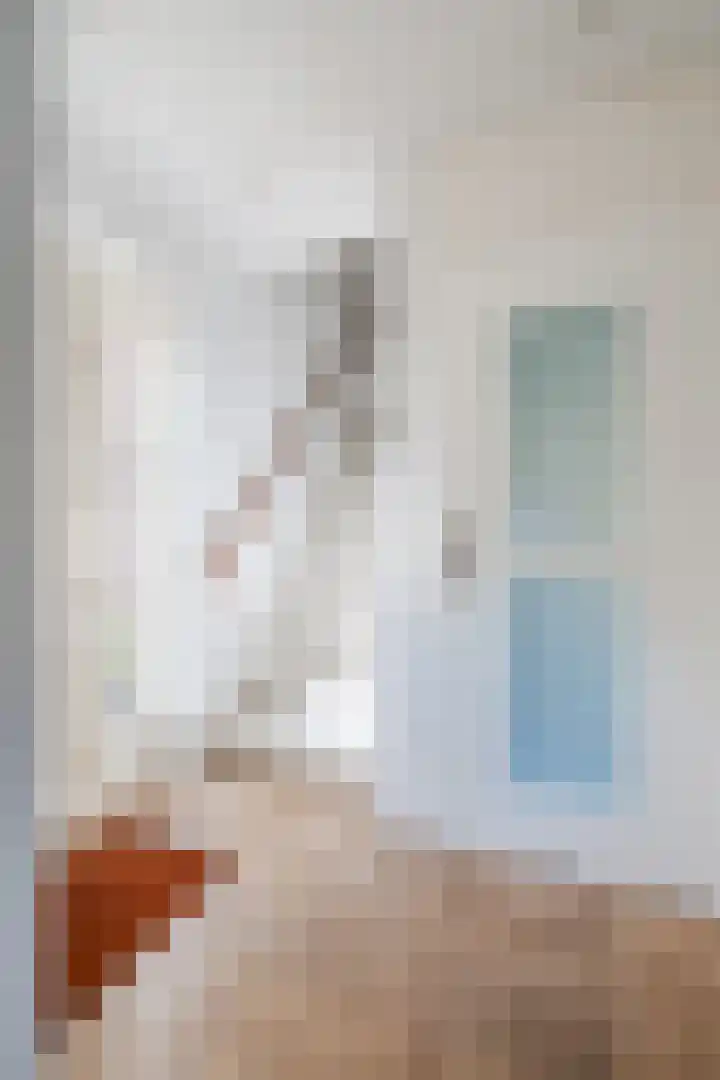 Den Haas 77 Valkenswaard thumbnail 8