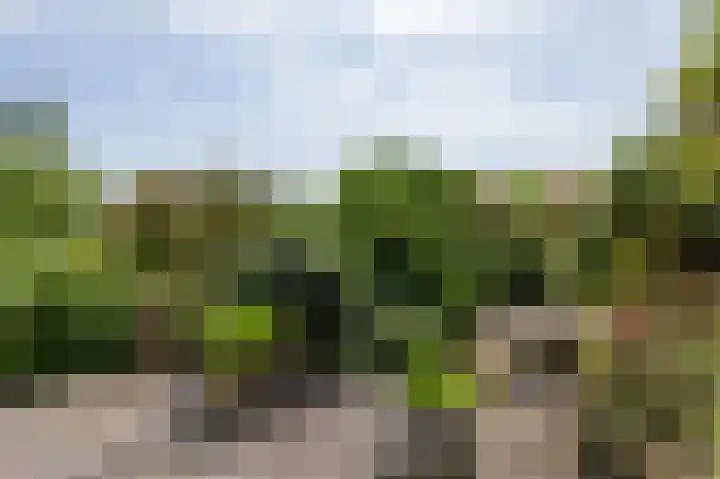 Den Ham 13 Boskoop thumbnail 11