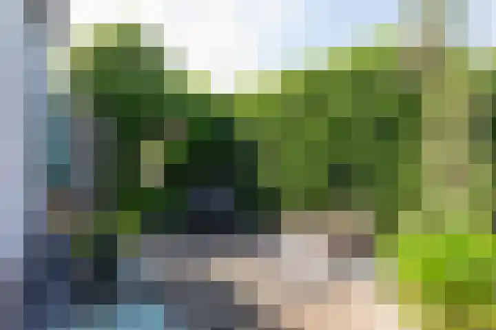 Den Ham 13 Boskoop thumbnail 13