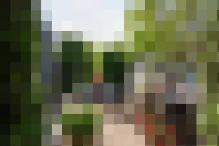 Den Ham 13 Boskoop thumbnail 14