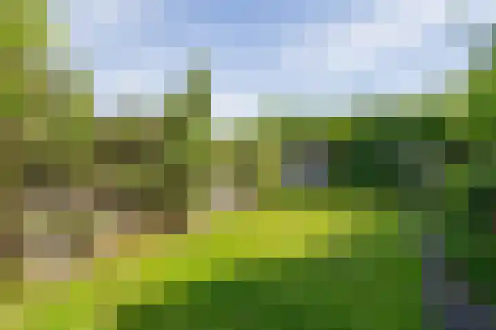 Den Ham 13 Boskoop thumbnail 15