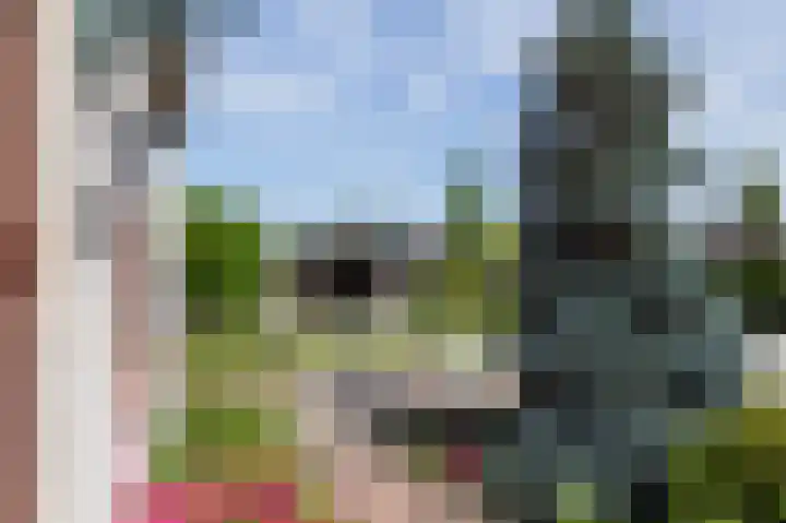 Den Ham 13 Boskoop thumbnail 18