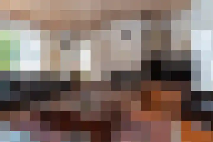 Den Ham 13 Boskoop thumbnail 21