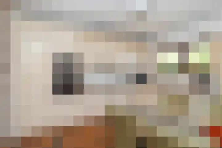 Den Ham 13 Boskoop thumbnail 27