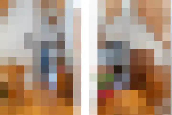 Den Ham 13 Boskoop thumbnail 35