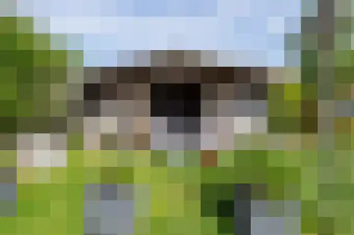 Den Ham 13 Boskoop thumbnail 40