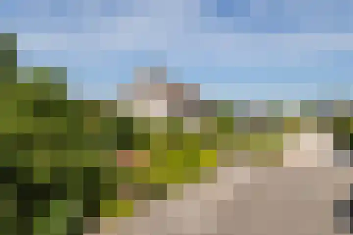 Den Ham 13 Boskoop thumbnail 6
