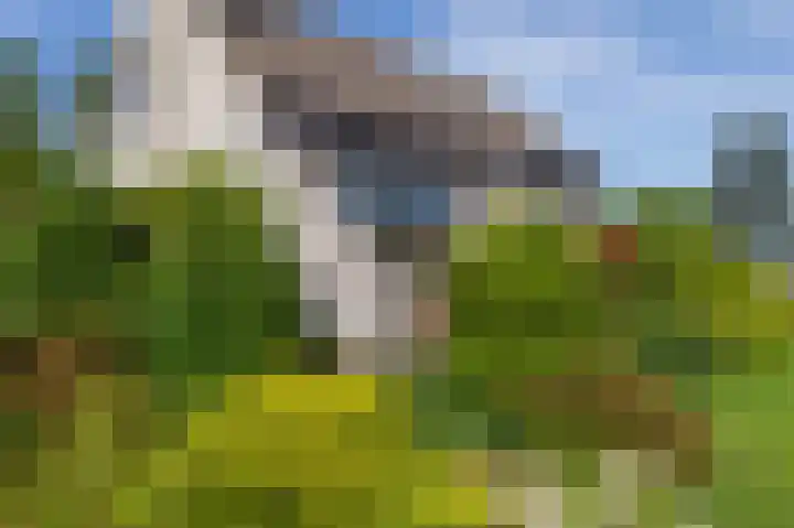 Den Ham 13 Boskoop thumbnail 7