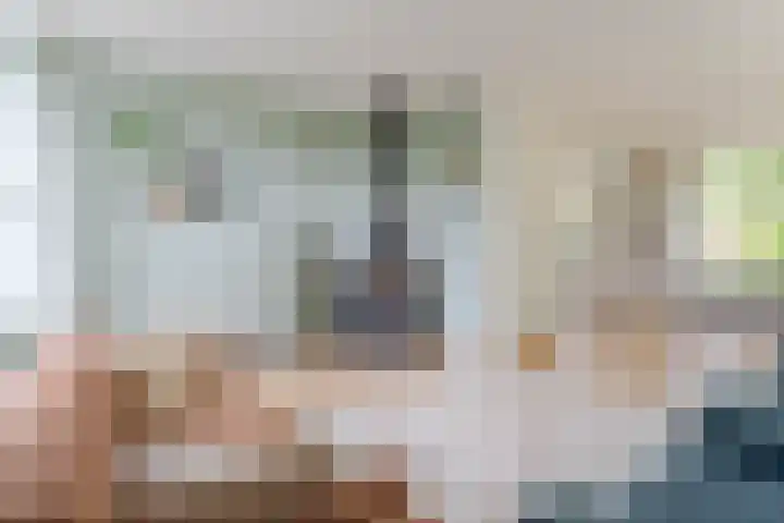 Den Ham 22 Boskoop thumbnail 10
