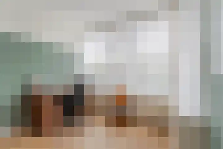 Den Ham 22 Boskoop thumbnail 15