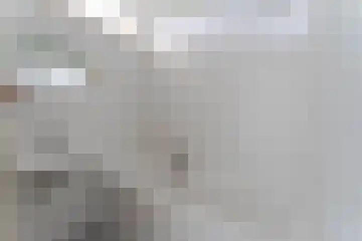 Den Ham 22 Boskoop thumbnail 16