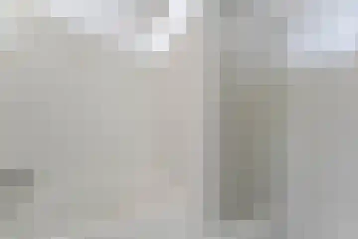 Den Ham 22 Boskoop thumbnail 17