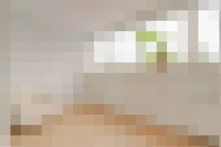 Den Ham 22 Boskoop thumbnail 20