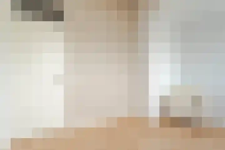 Den Ham 22 Boskoop thumbnail 21