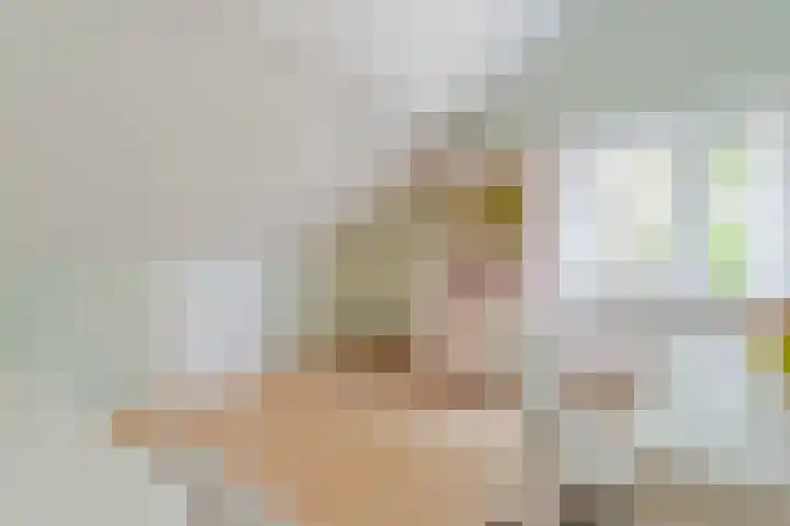 Den Ham 22 Boskoop thumbnail 22