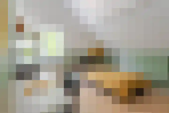 Den Ham 22 Boskoop thumbnail 24