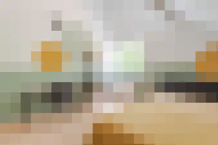 Den Ham 22 Boskoop thumbnail 25
