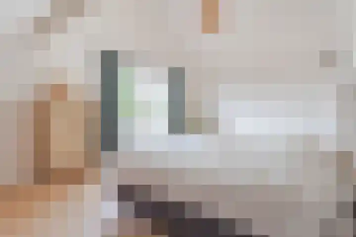 Den Ham 22 Boskoop thumbnail 27