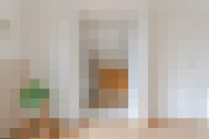 Den Ham 22 Boskoop thumbnail 28