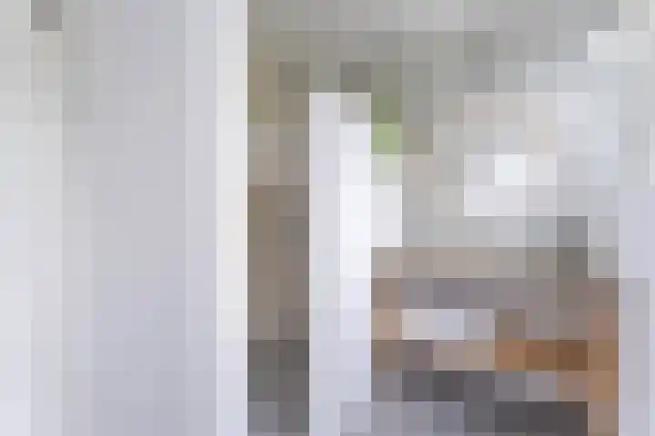 Den Ham 22 Boskoop thumbnail 30