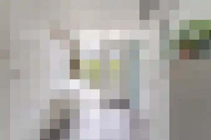 Den Ham 22 Boskoop thumbnail 33