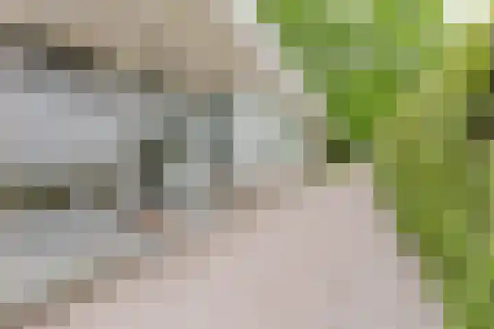 Den Ham 22 Boskoop thumbnail 34