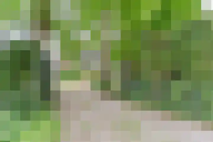 Den Ham 22 Boskoop thumbnail 36
