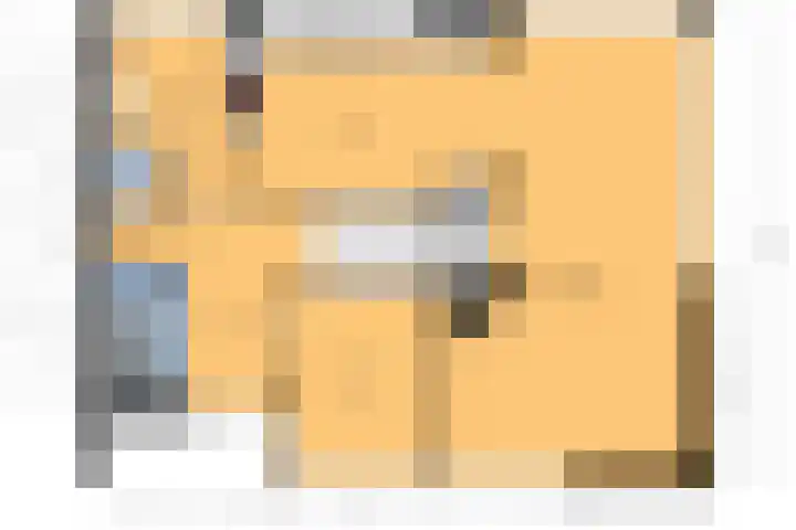 Den Ham 22 Boskoop thumbnail 39
