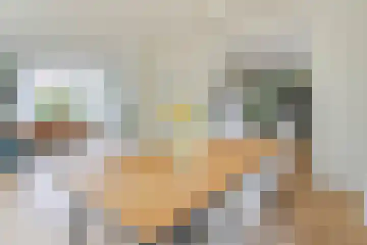 Den Ham 22 Boskoop thumbnail 4
