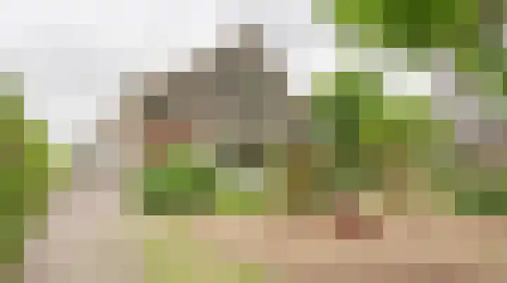 Den Ham 22 Boskoop thumbnail 41