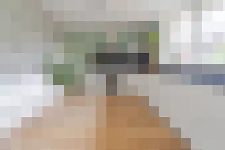 Den Ham 22 Boskoop thumbnail 5
