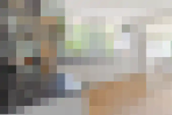 Den Ham 22 Boskoop thumbnail 6