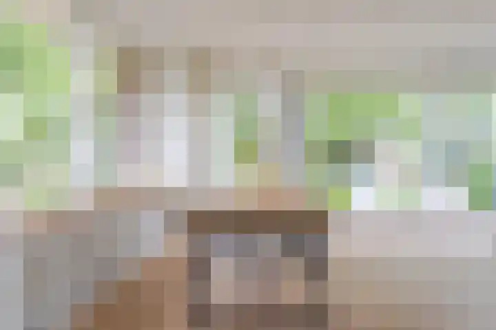 Den Ham 22 Boskoop thumbnail 7