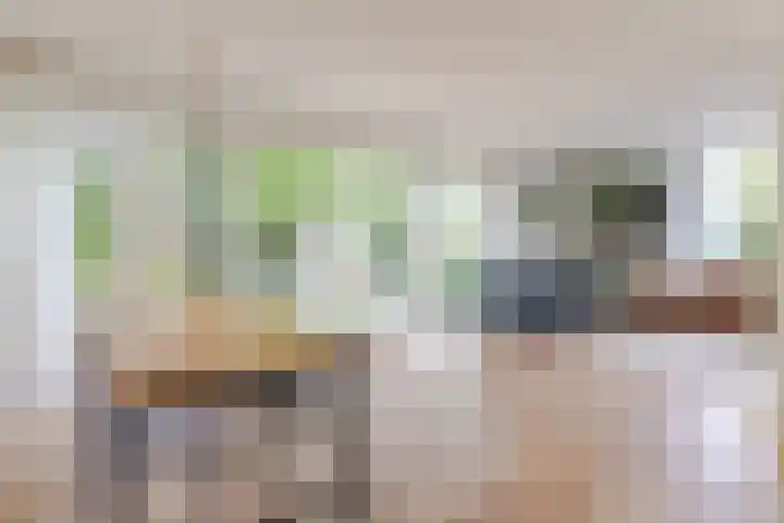Den Ham 22 Boskoop thumbnail 8