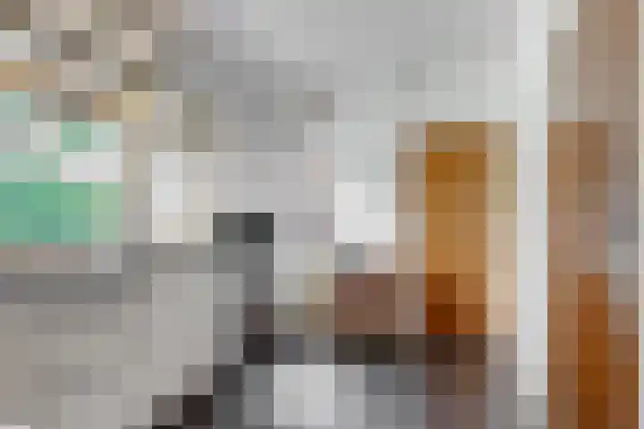 Den Hamstraat 2 Vleuten thumbnail 10