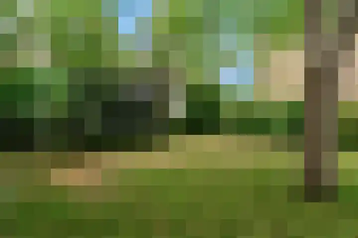 Den Hamstraat 2 Vleuten thumbnail 25