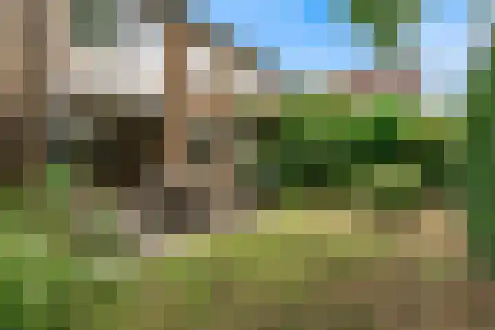 Den Hamstraat 2 Vleuten thumbnail 27