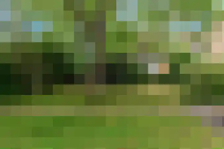 Den Hamstraat 2 Vleuten thumbnail 32