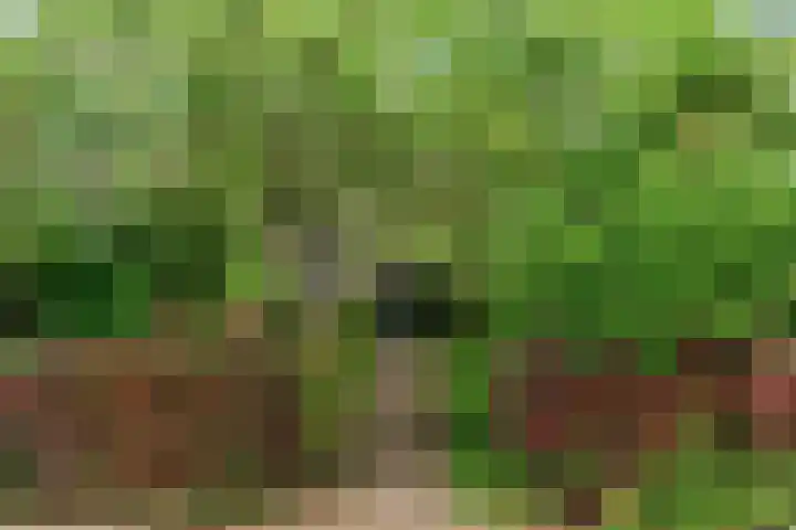 Den Hamstraat 2 Vleuten thumbnail 34