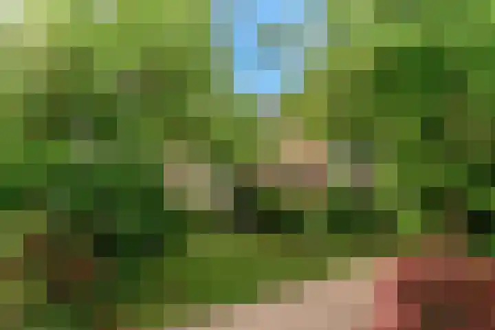 Den Hamstraat 2 Vleuten thumbnail 35